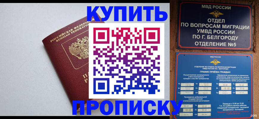 прописка регистрация в Ульяновской области